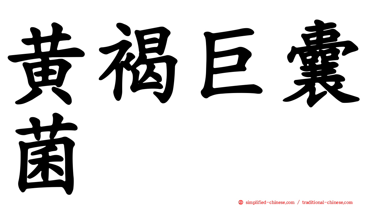 黄褐巨囊菌