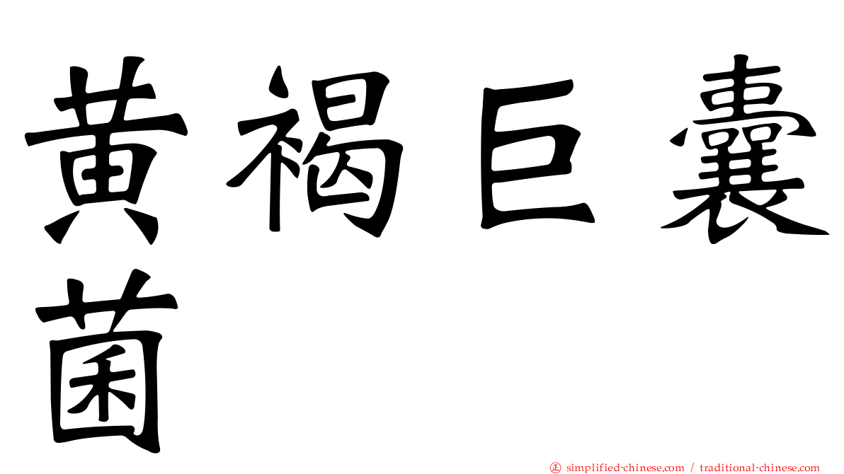 黄褐巨囊菌