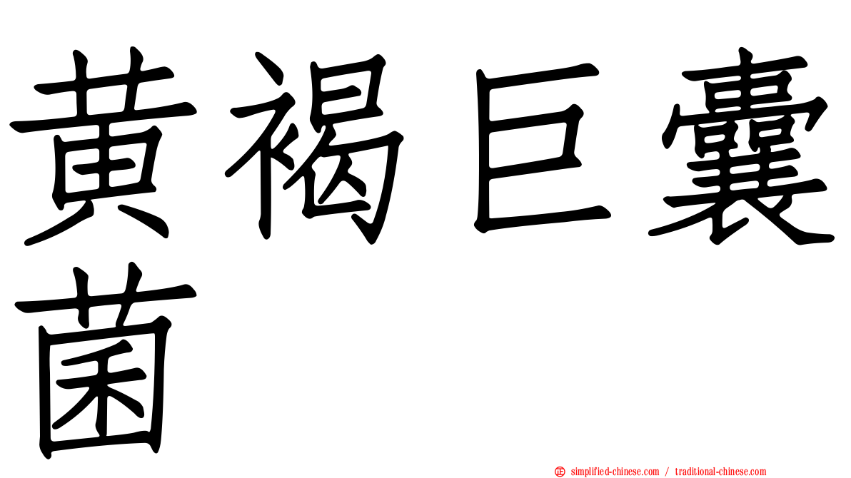 黄褐巨囊菌