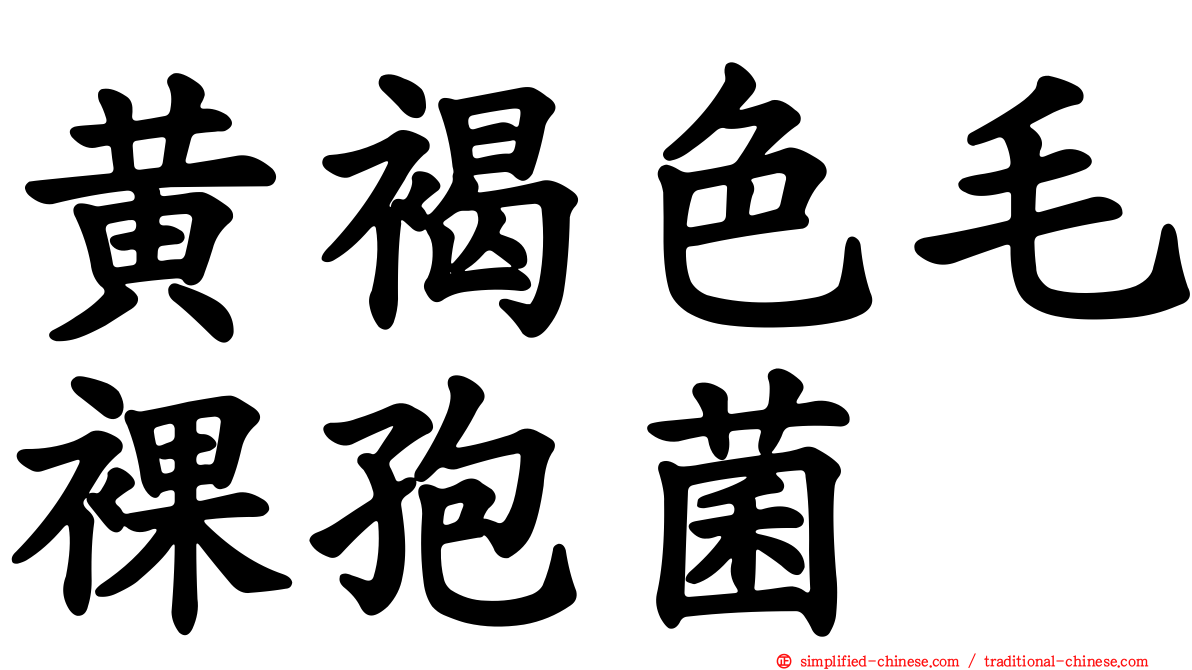黄褐色毛裸孢菌