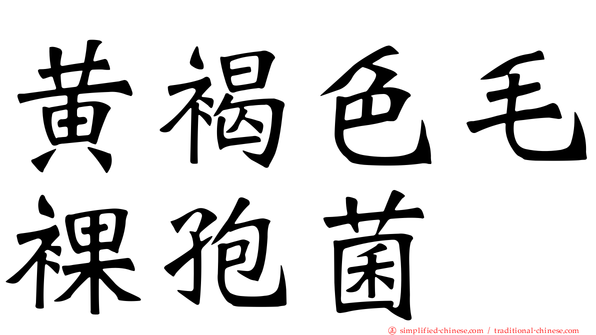 黄褐色毛裸孢菌