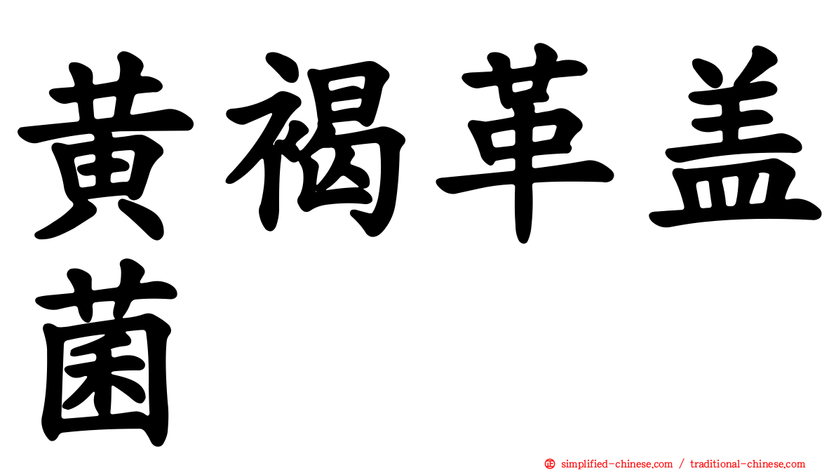 黄褐革盖菌