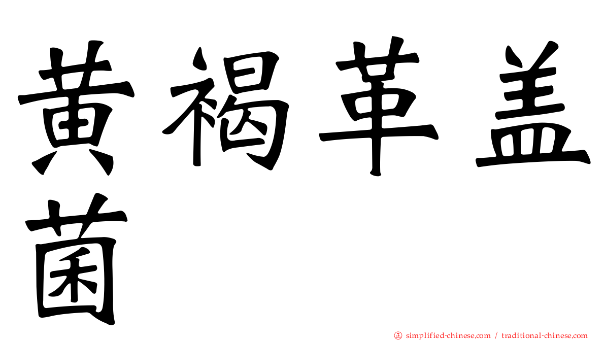 黄褐革盖菌