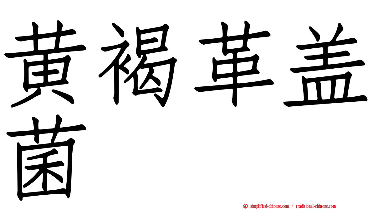 黄褐革盖菌
