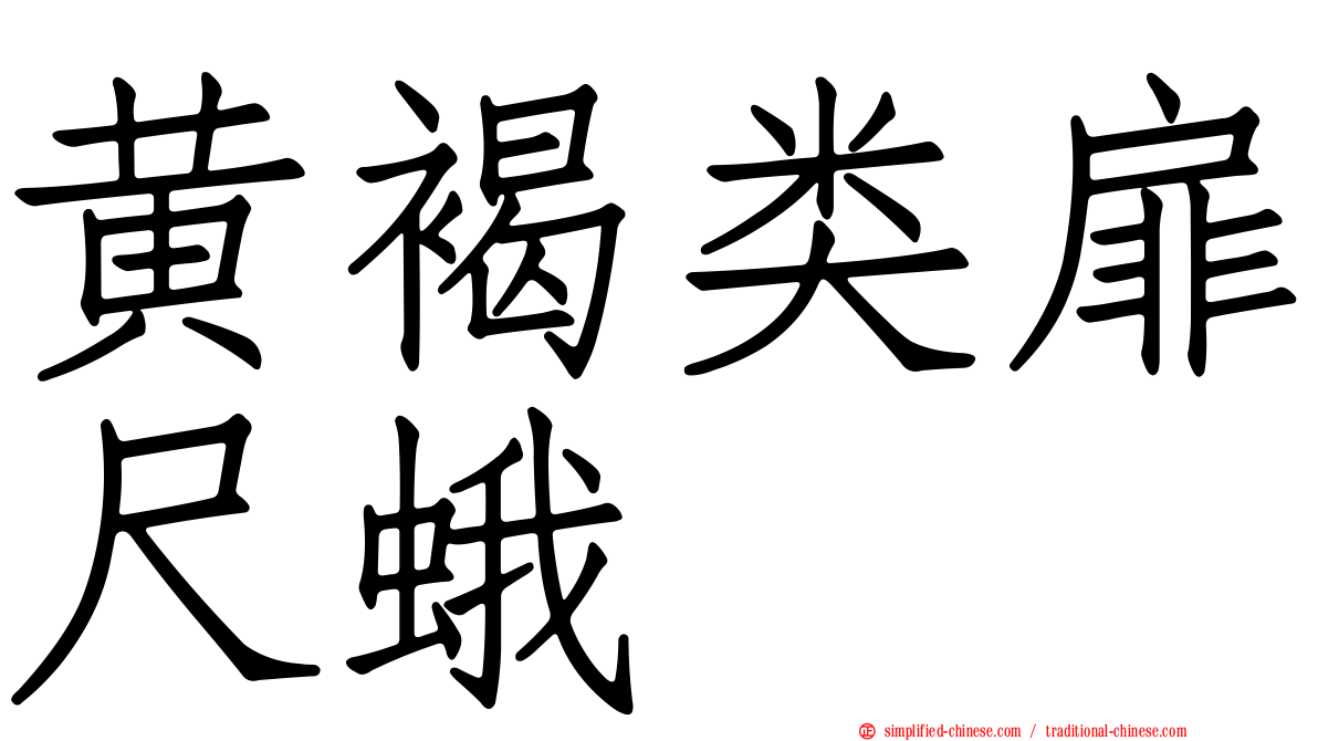 黄褐类扉尺蛾