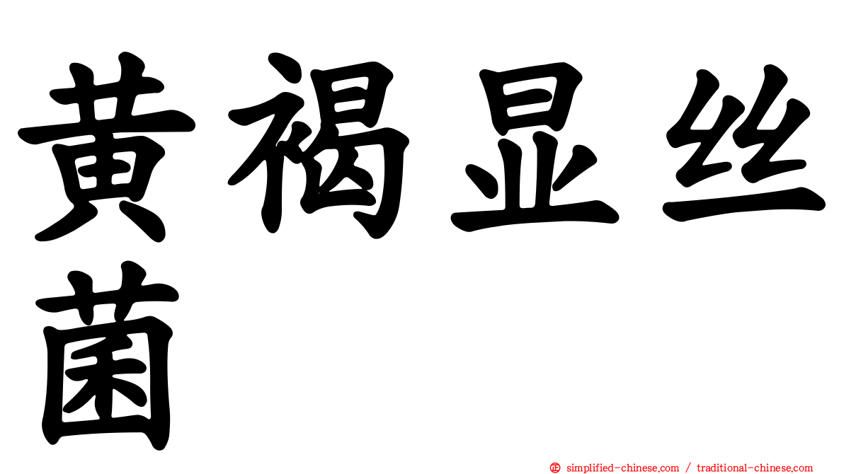 黄褐显丝菌