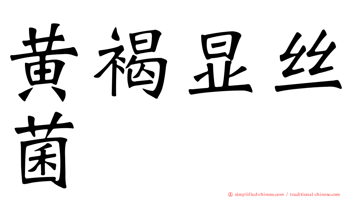黄褐显丝菌