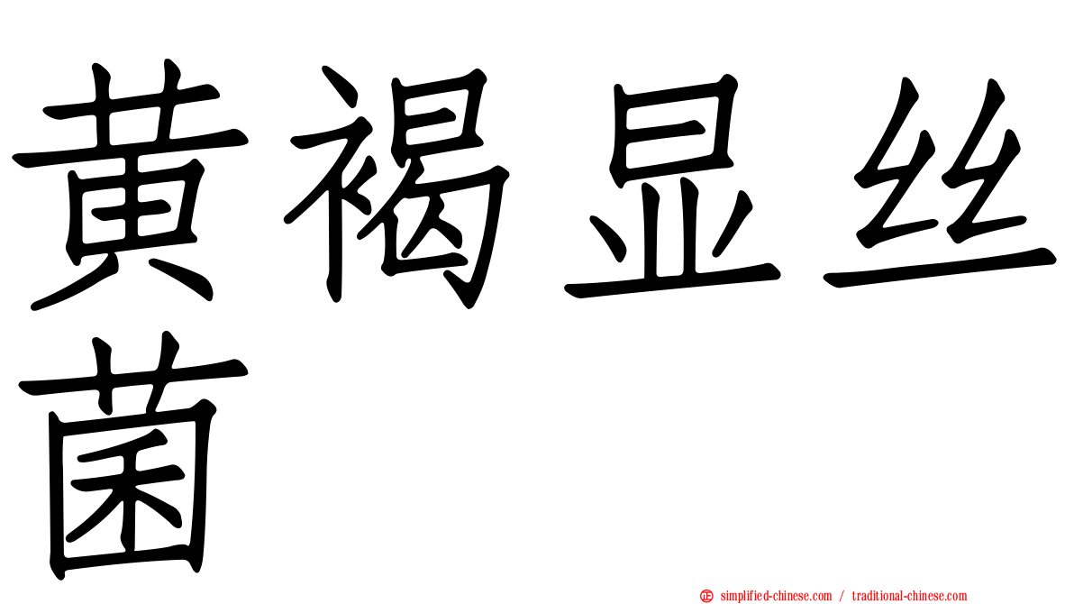 黄褐显丝菌