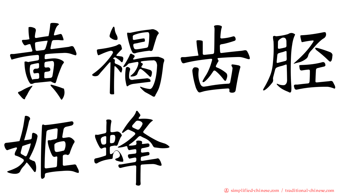 黄褐齿胫姬蜂