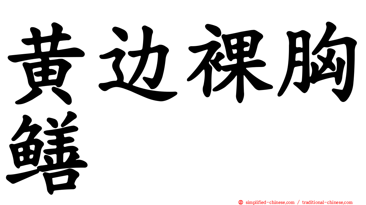 黄边裸胸鳝