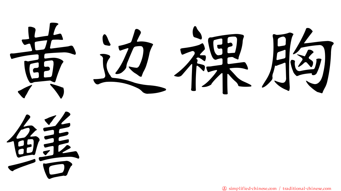 黄边裸胸鳝