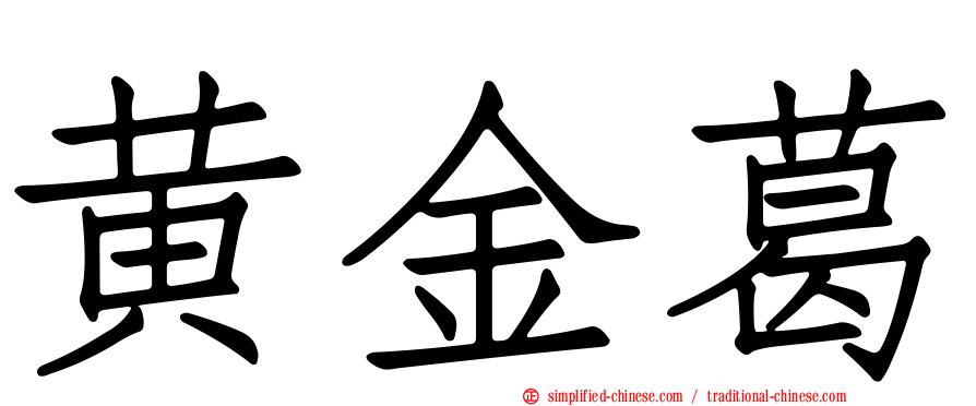 黄金葛