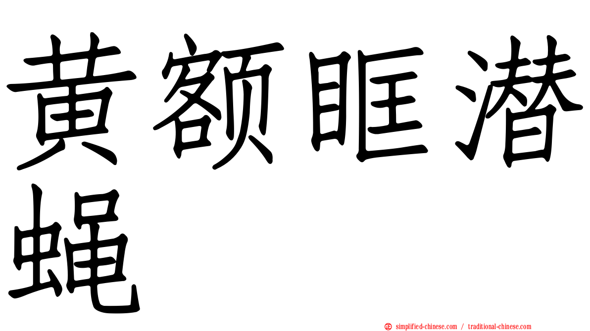 黄额眶潜蝇