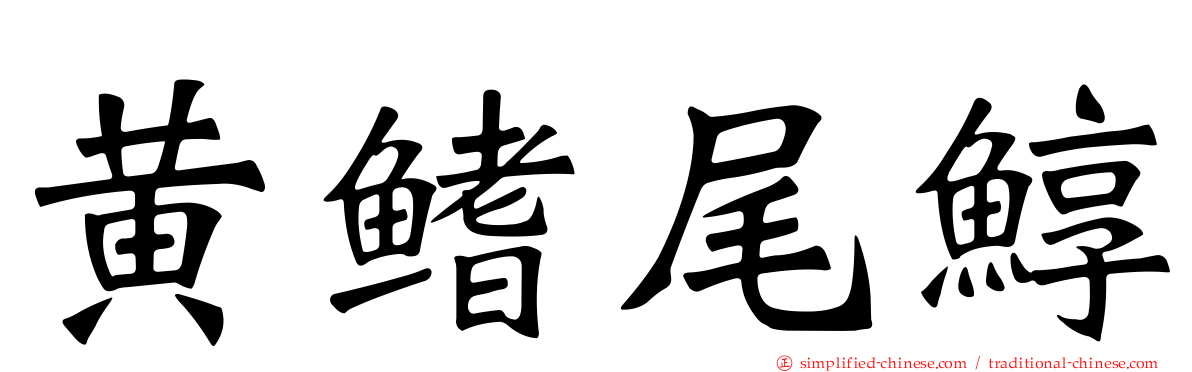 黄鳍尾鯙