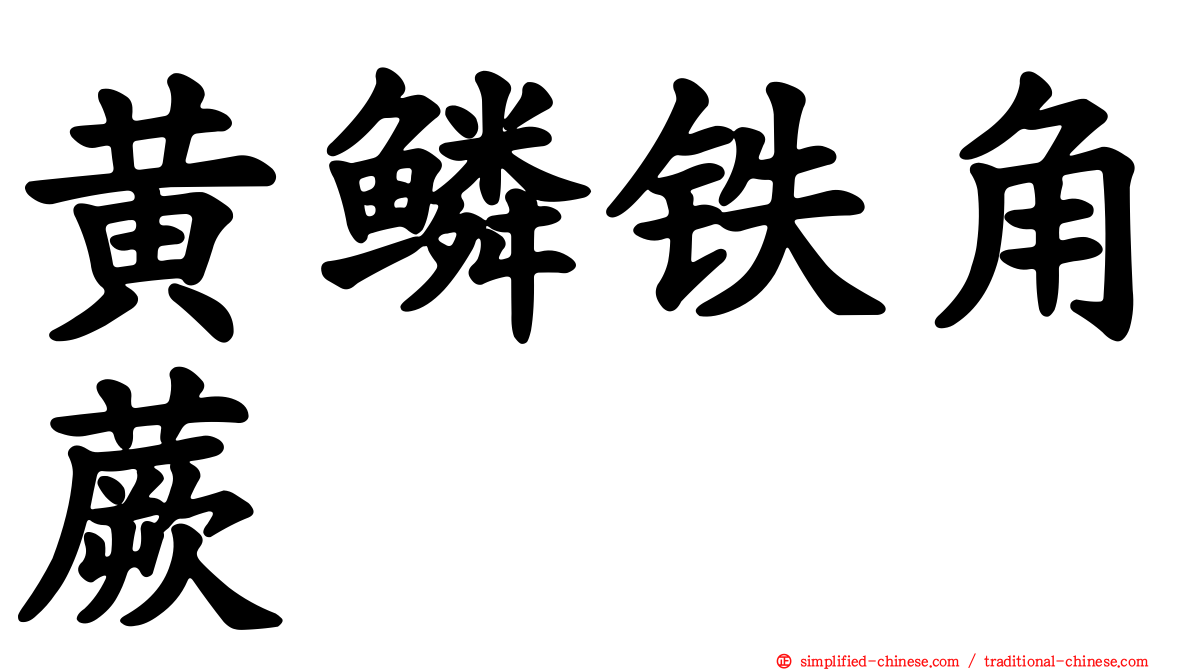 黄鳞铁角蕨