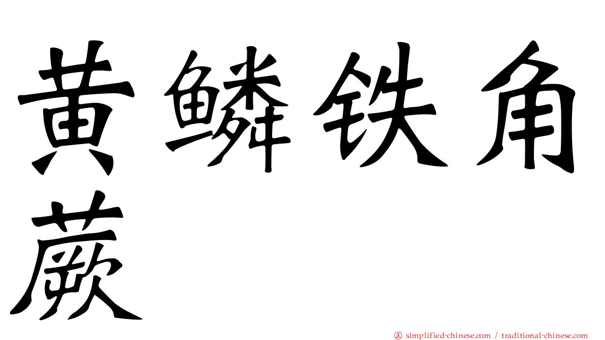 黄鳞铁角蕨