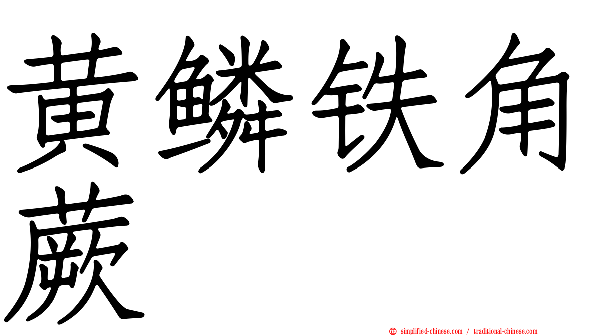 黄鳞铁角蕨