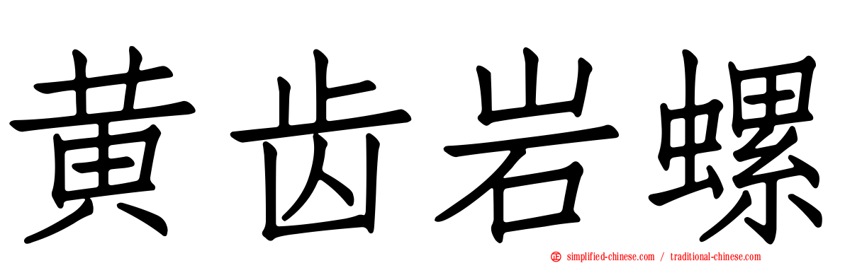 黄齿岩螺