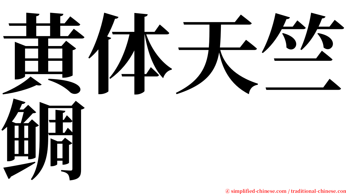 黄体天竺鲷 serif font