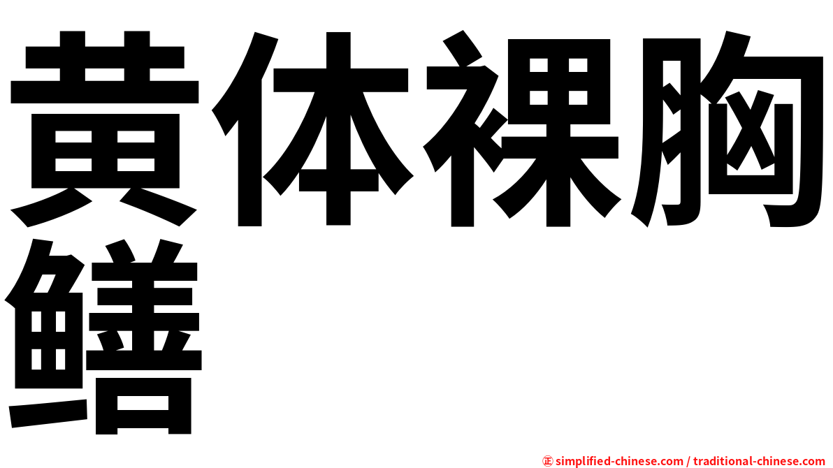 黄体裸胸鳝