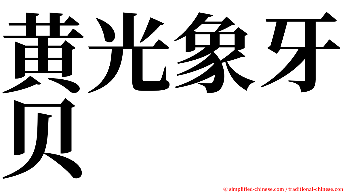 黄光象牙贝 serif font