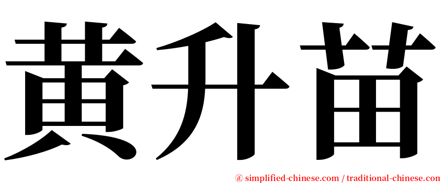 黄升苗 serif font