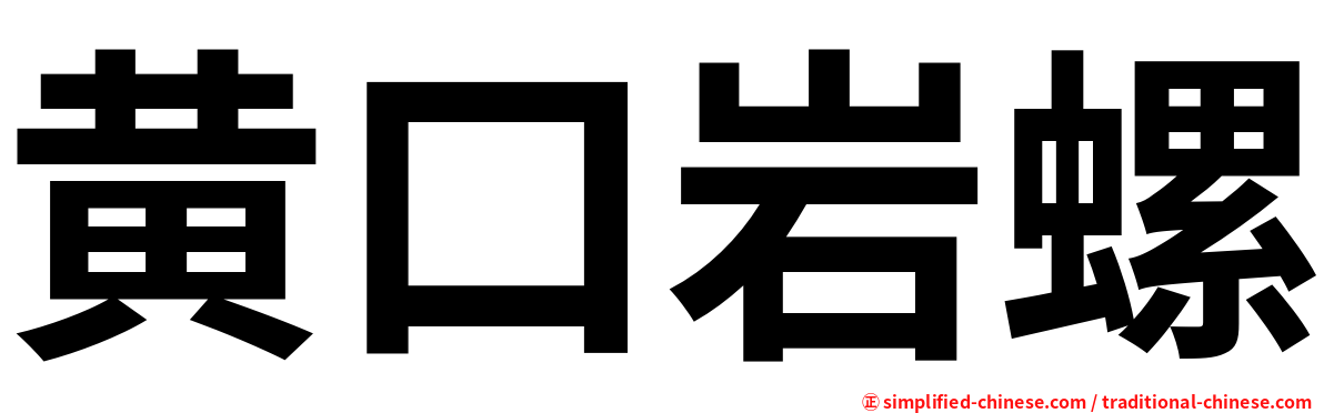 黄口岩螺