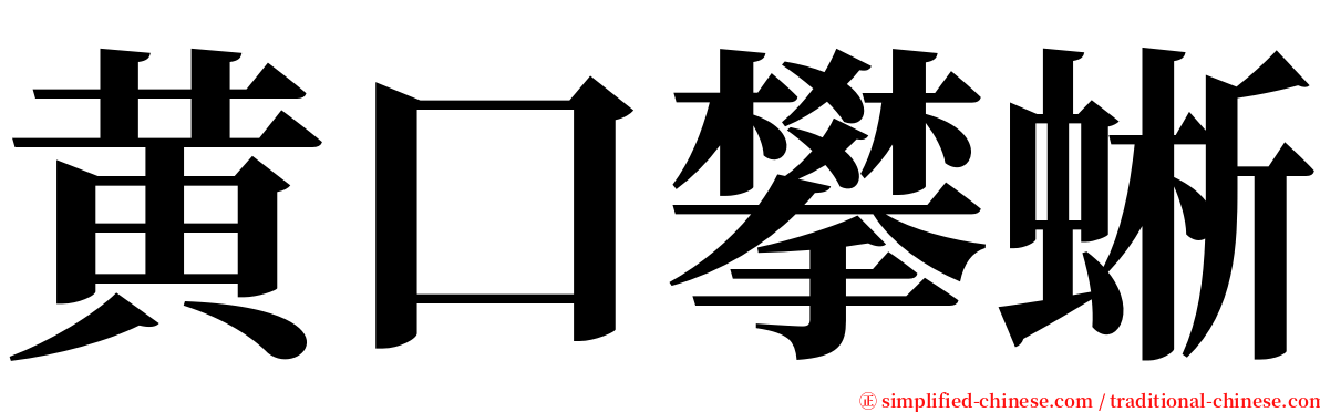 黄口攀蜥 serif font