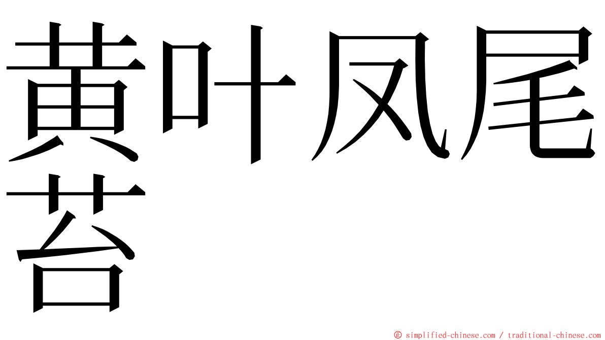 黄叶凤尾苔 ming font