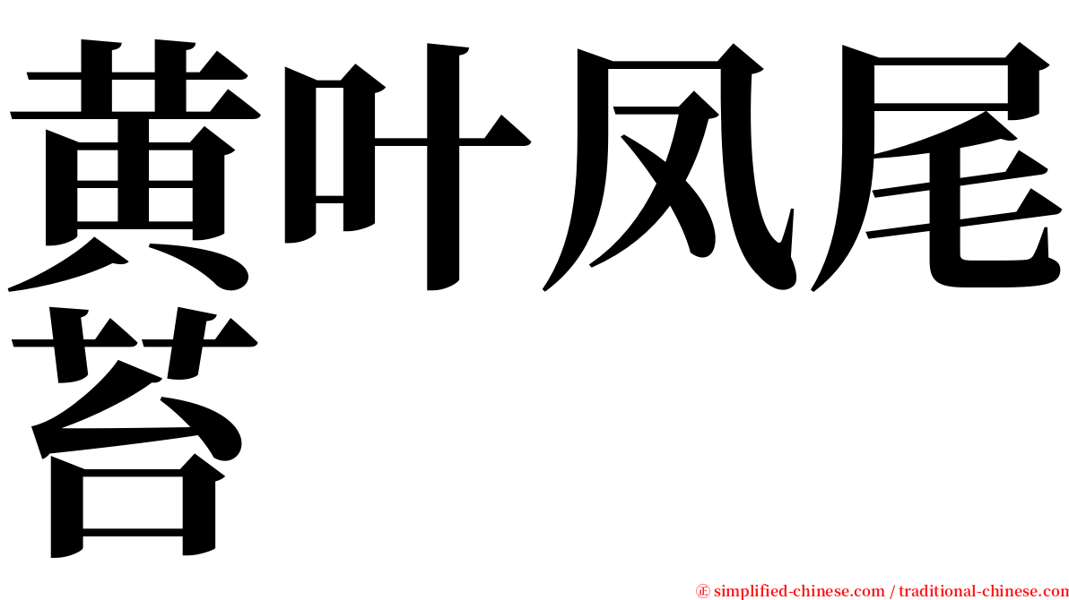 黄叶凤尾苔 serif font