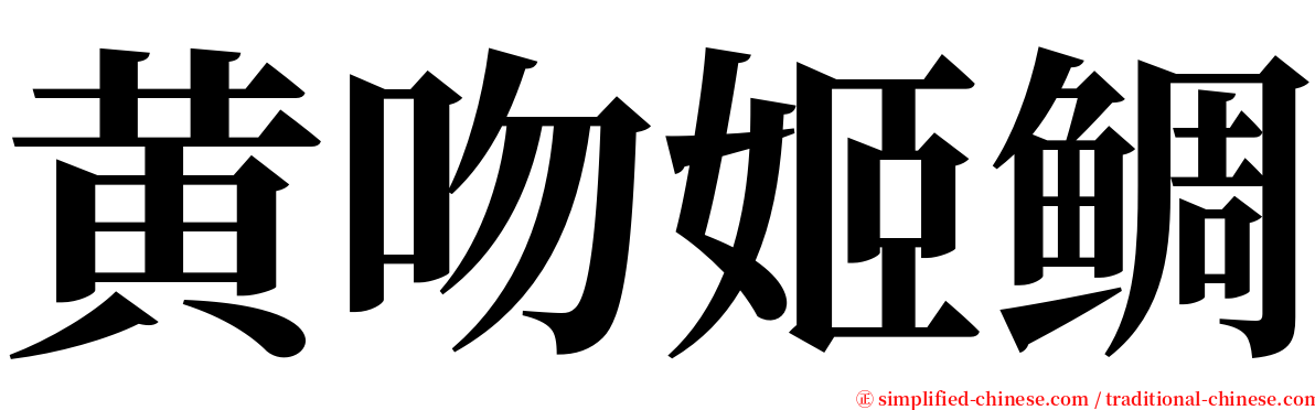 黄吻姬鲷 serif font