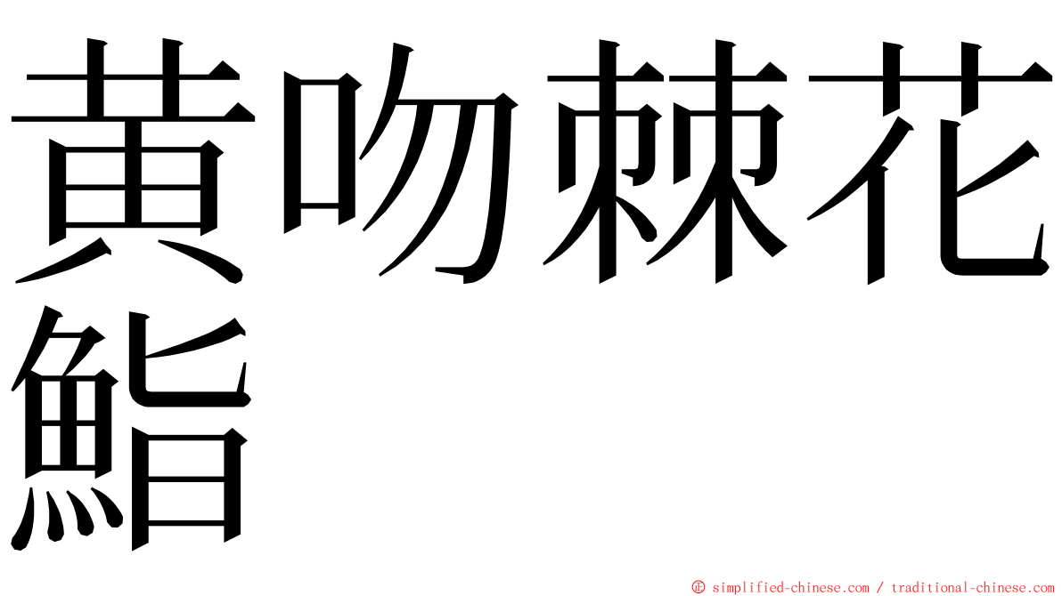 黄吻棘花鮨 ming font