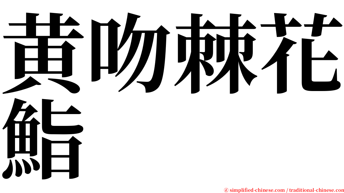 黄吻棘花鮨 serif font