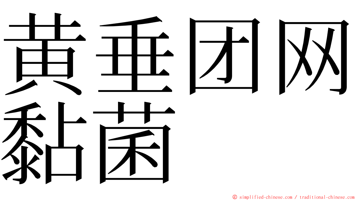 黄垂团网黏菌 ming font