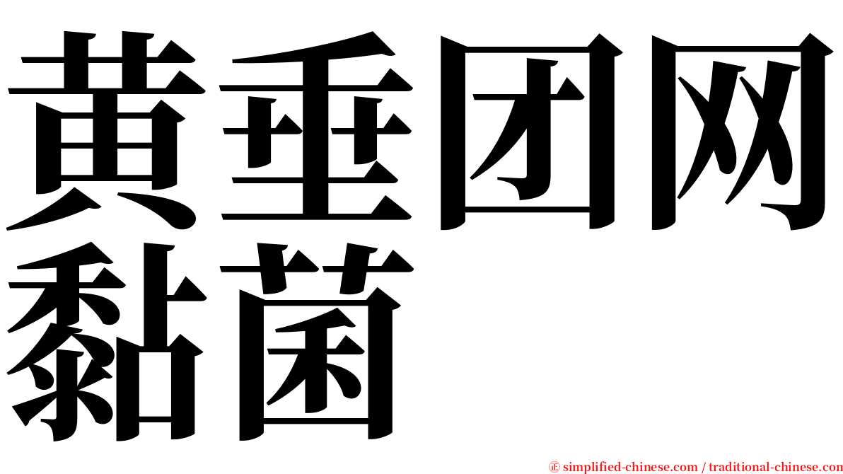 黄垂团网黏菌 serif font