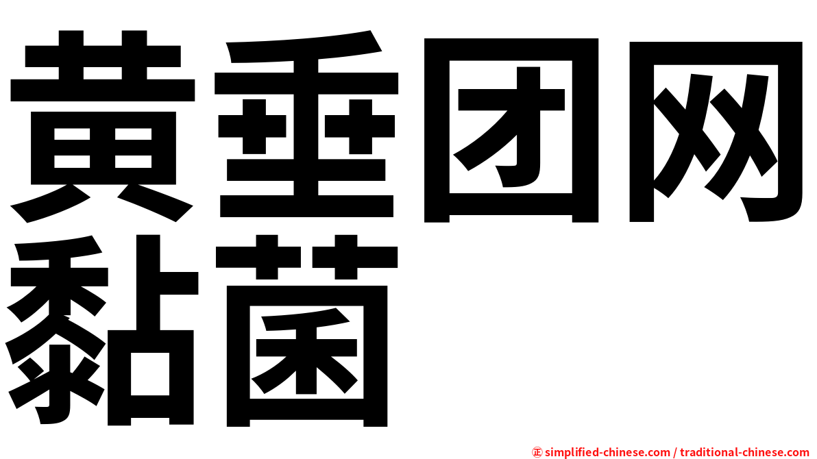 黄垂团网黏菌