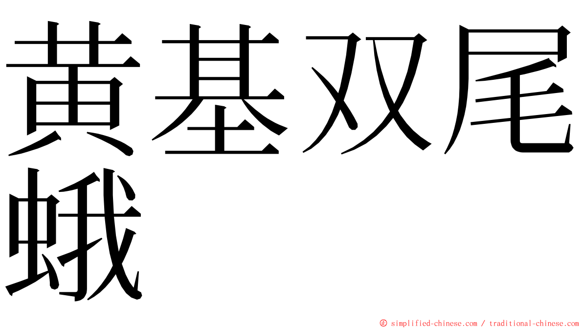 黄基双尾蛾 ming font