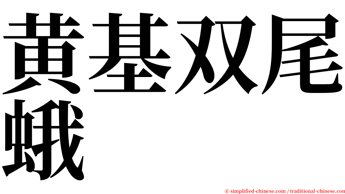 黄基双尾蛾 serif font