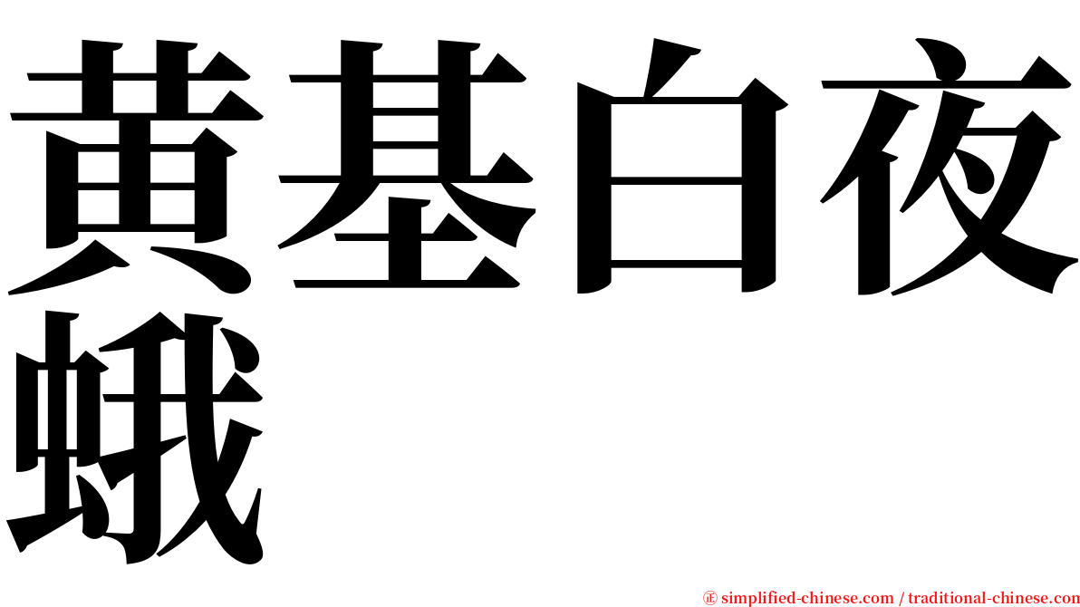 黄基白夜蛾 serif font