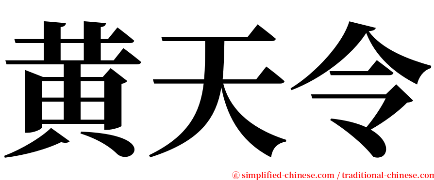 黄天令 serif font