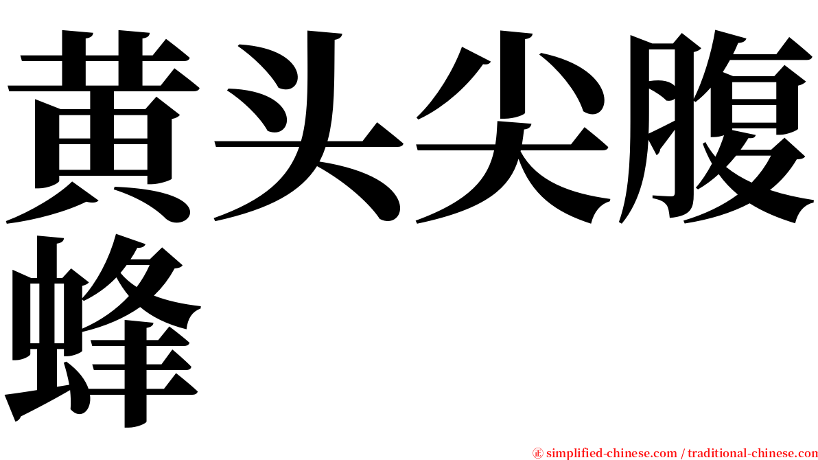 黄头尖腹蜂 serif font