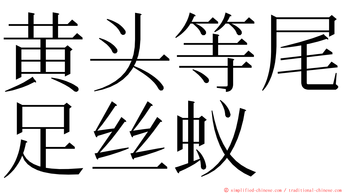 黄头等尾足丝蚁 ming font