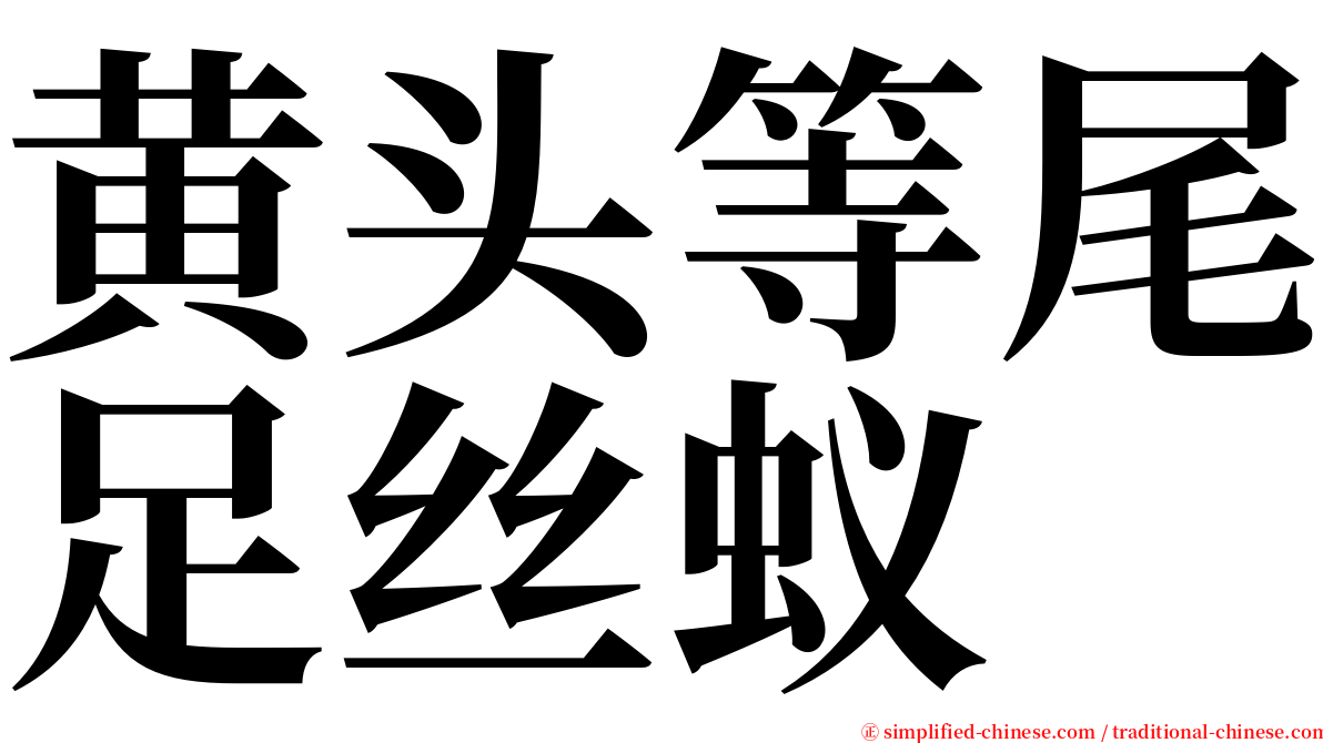 黄头等尾足丝蚁 serif font