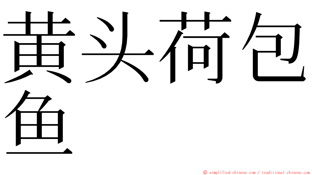 黄头荷包鱼 ming font