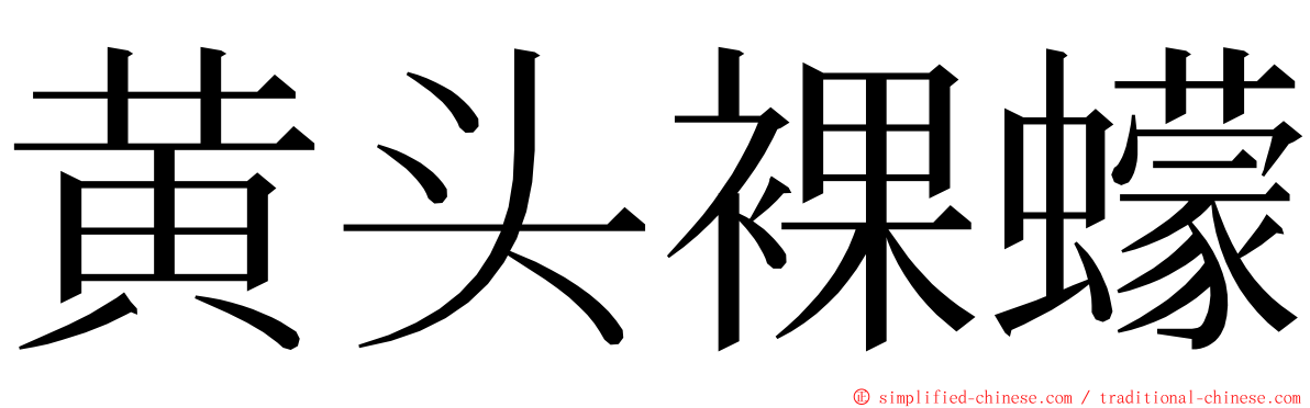 黄头裸蠓 ming font