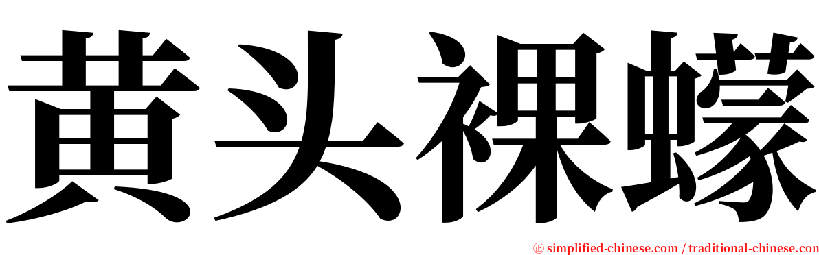 黄头裸蠓 serif font