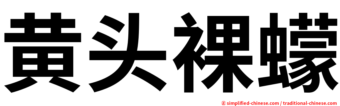 黄头裸蠓