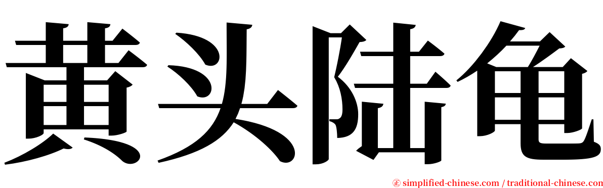 黄头陆龟 serif font