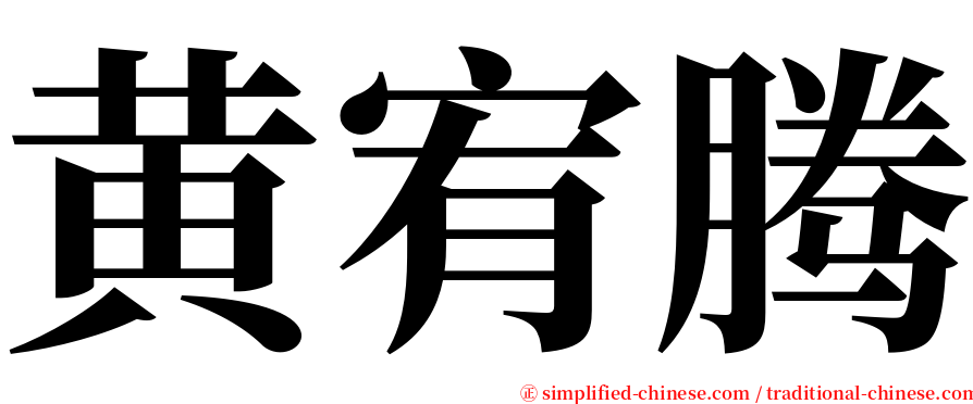 黄宥腾 serif font