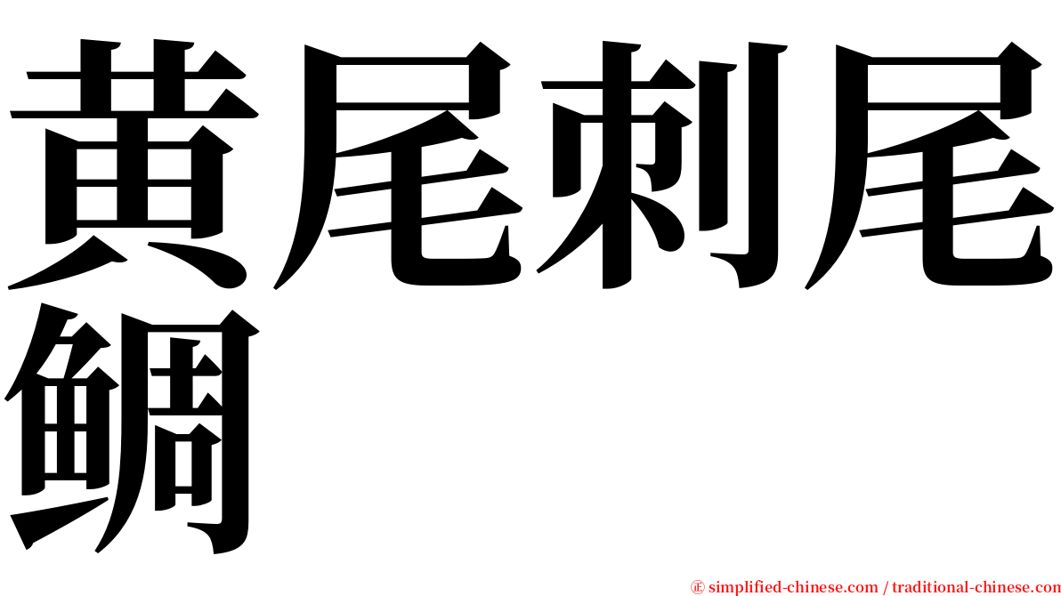 黄尾刺尾鲷 serif font